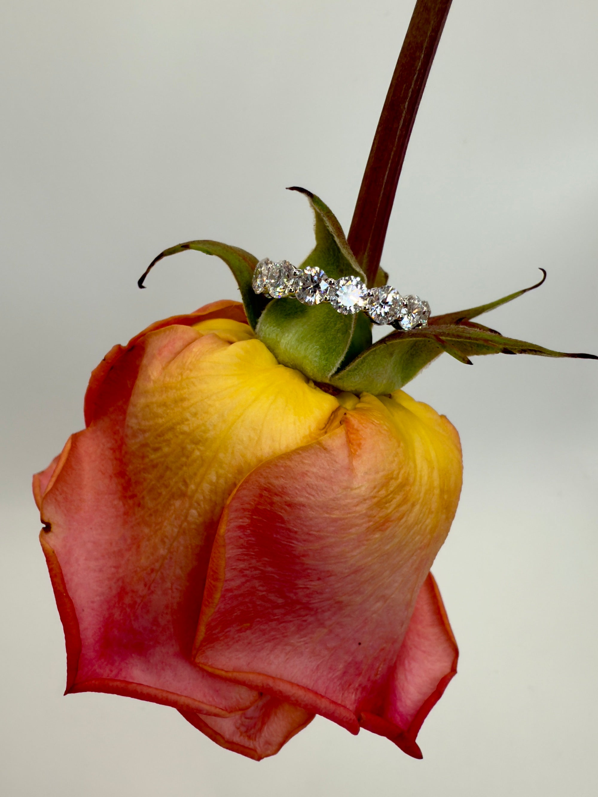 Gratitude Eternity Band in 5 catat and 14k white gold— Waltz Diamonds